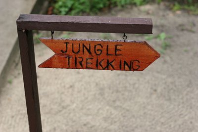 jungle trekking skaalattu